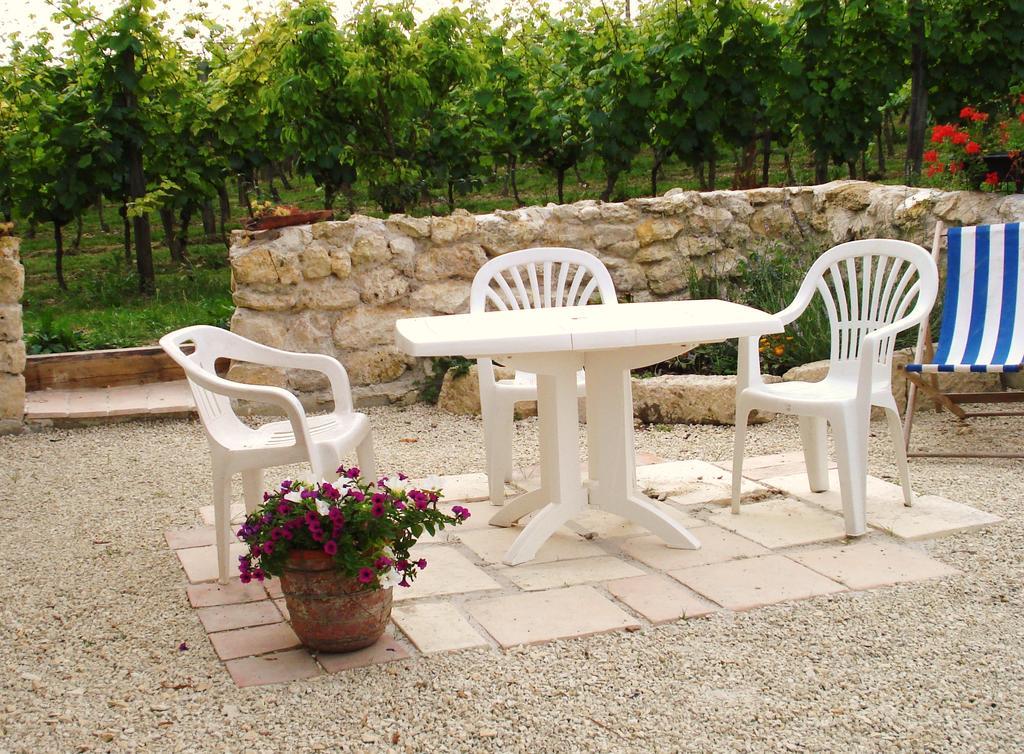 Chambres D'Hotes Domaine De La Rose Des Vents Castelnau-sur-lʼAuvignon Dış mekan fotoğraf